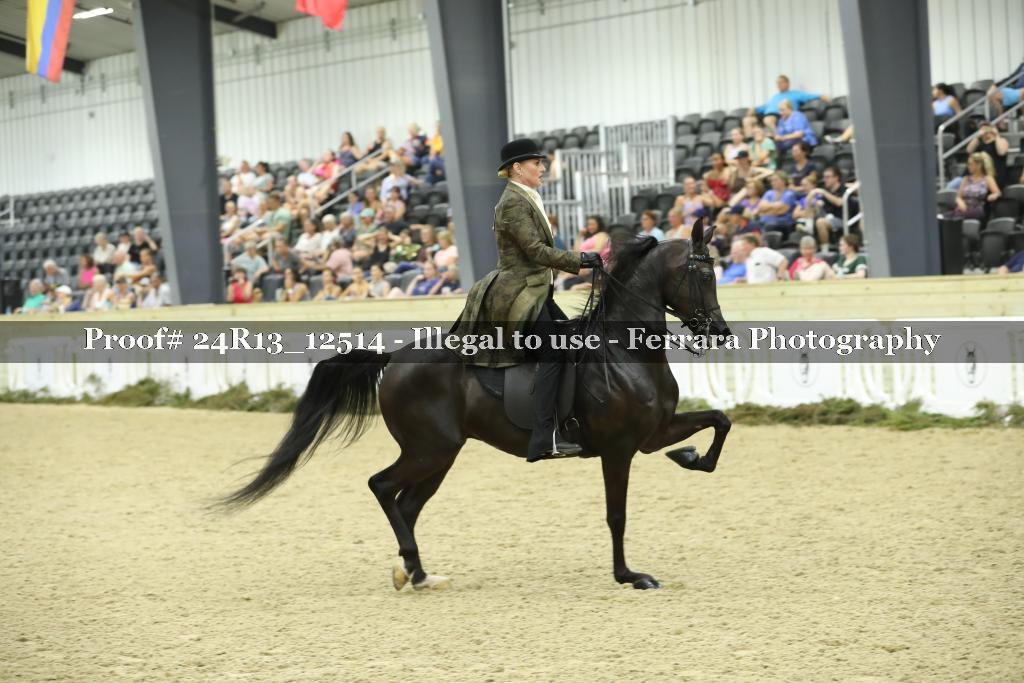 Proof 24R13_12514