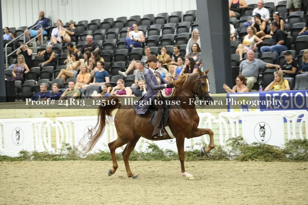 Proof 24R13_12516