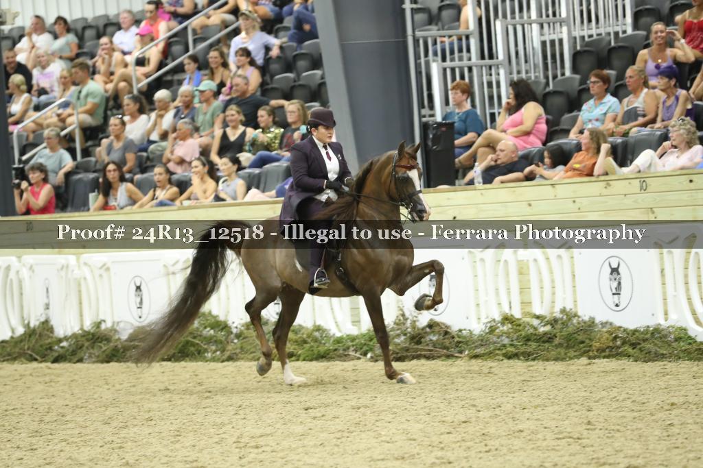 Proof 24R13_12518