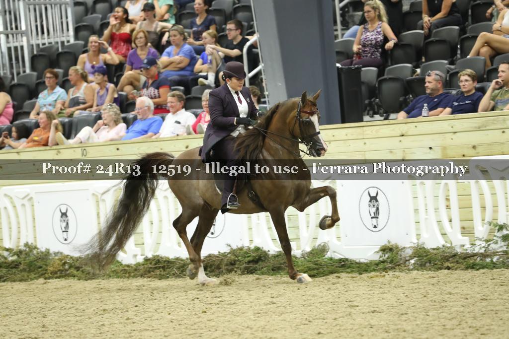 Proof 24R13_12519