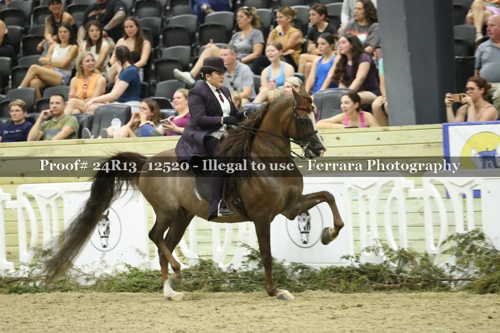 Proof 24R13_12520