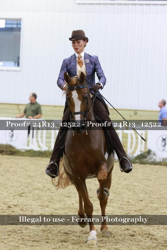 Proof 24R13_12522