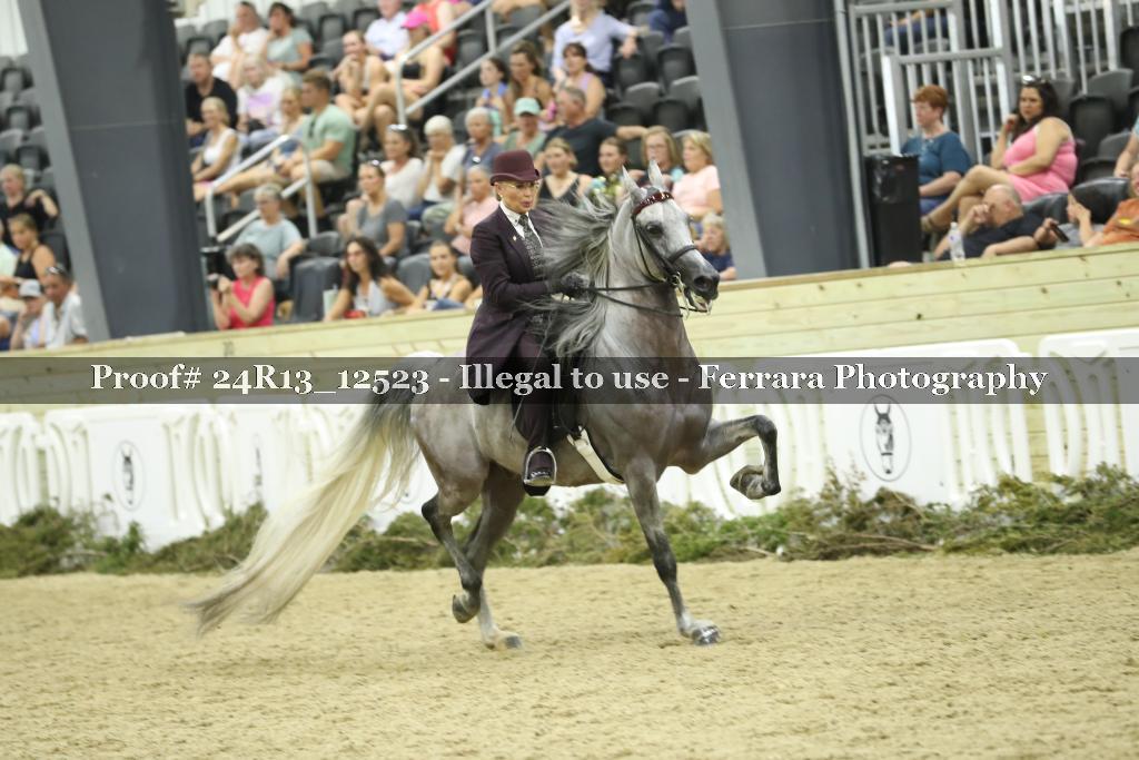 Proof 24R13_12523