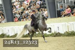 24R13_12523 proof