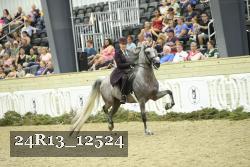 24R13_12524 proof