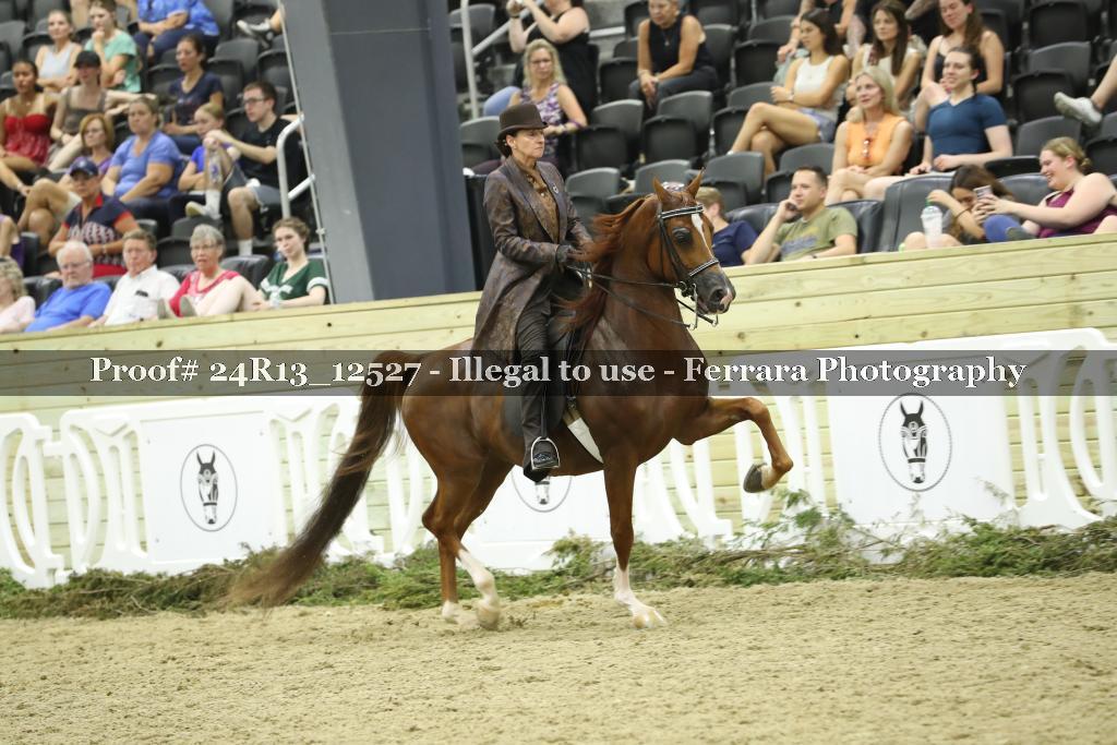 Proof 24R13_12527