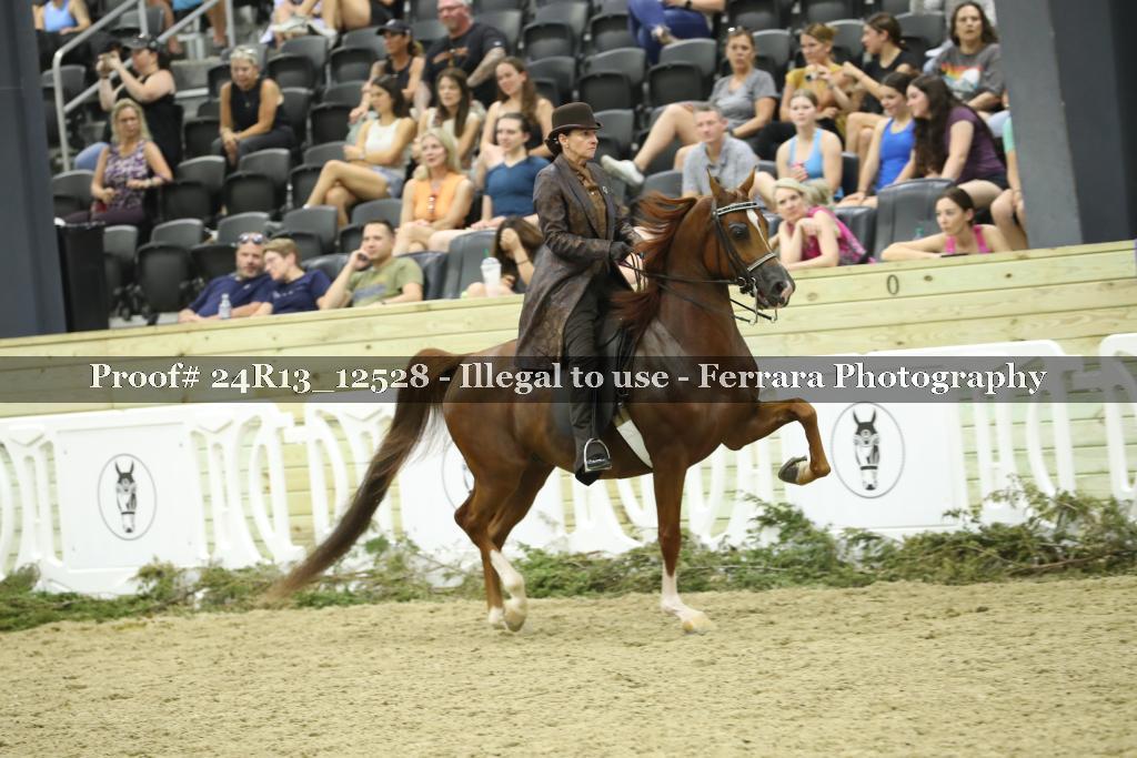 Proof 24R13_12528