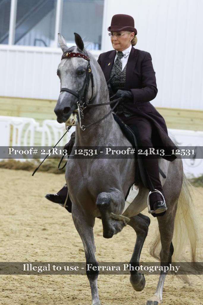 Proof 24R13_12531