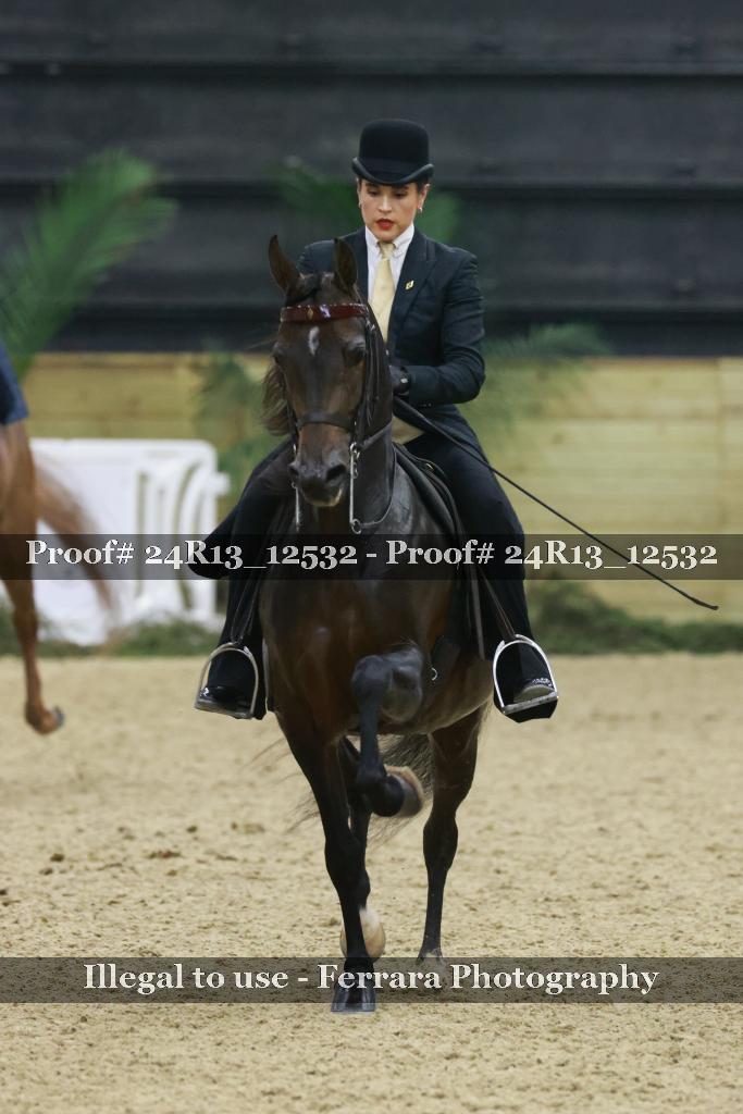 Proof 24R13_12532