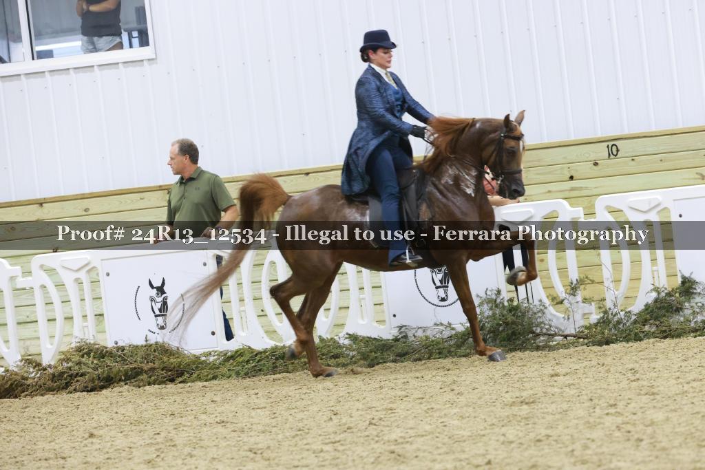 Proof 24R13_12534
