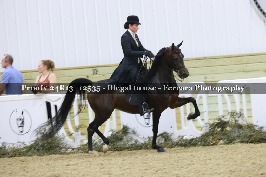 Proof 24R13_12535
