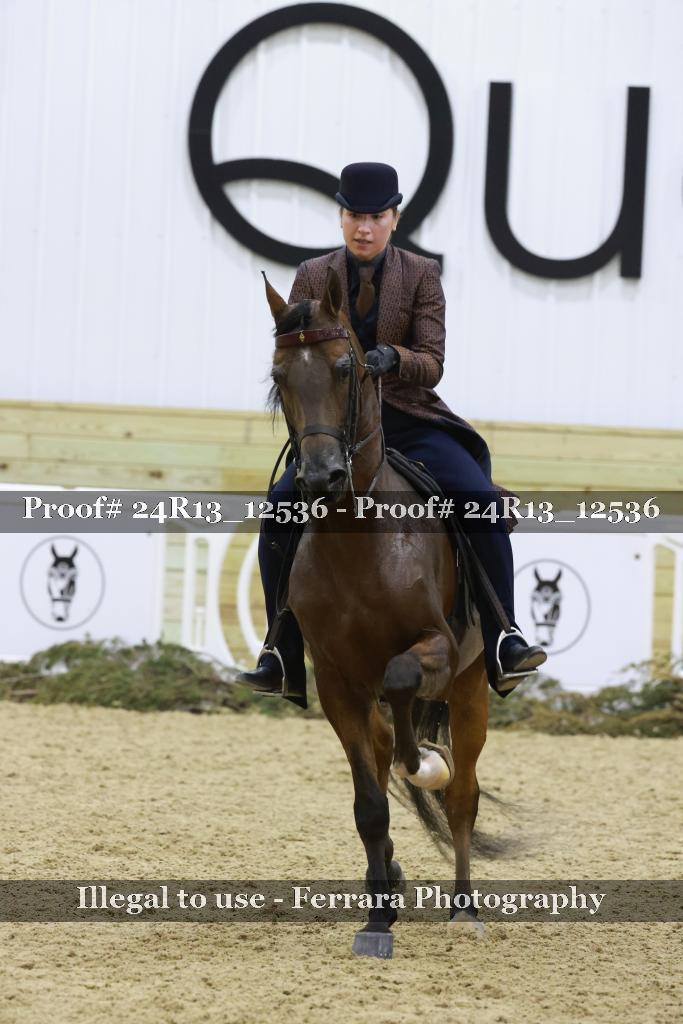 Proof 24R13_12536