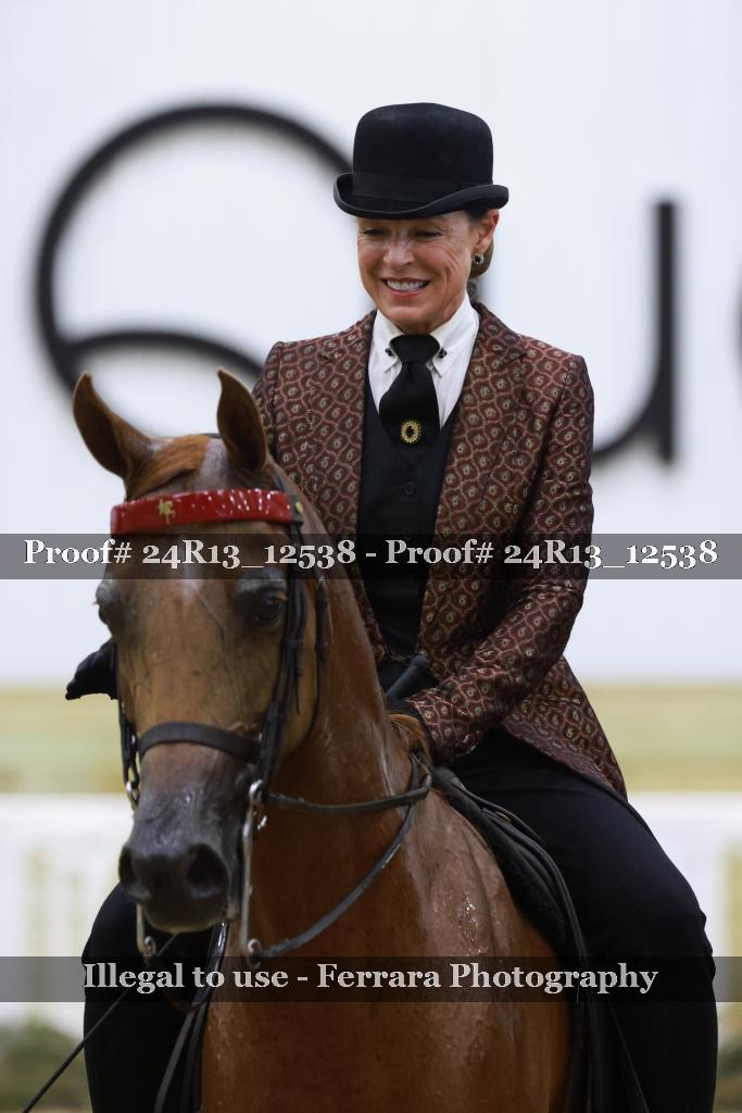 Proof 24R13_12538