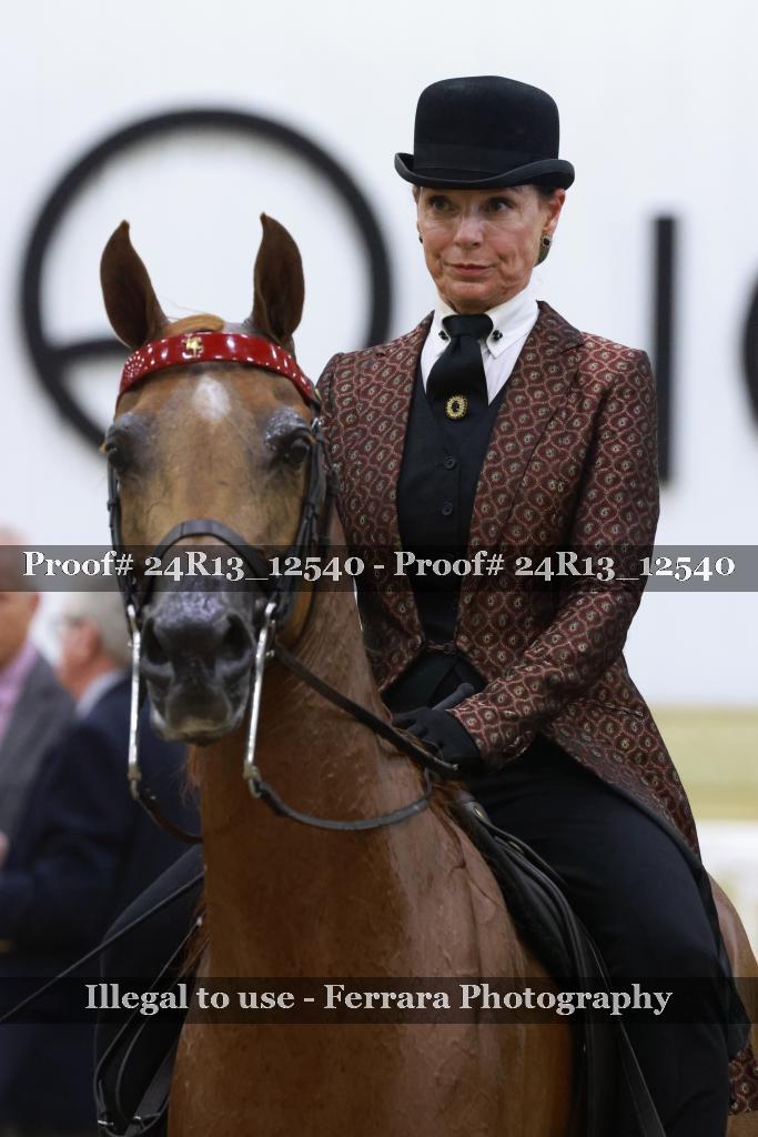 Proof 24R13_12540