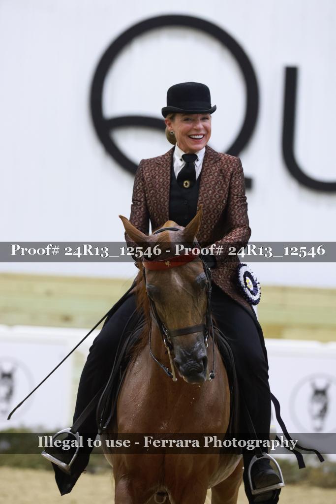 Proof 24R13_12546