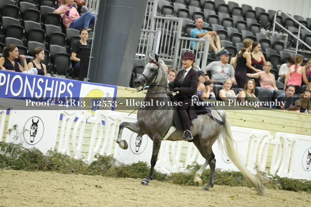 Proof 24R13_12553
