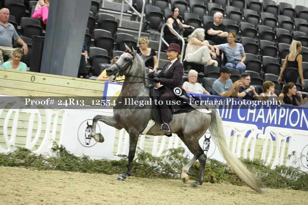Proof 24R13_12554