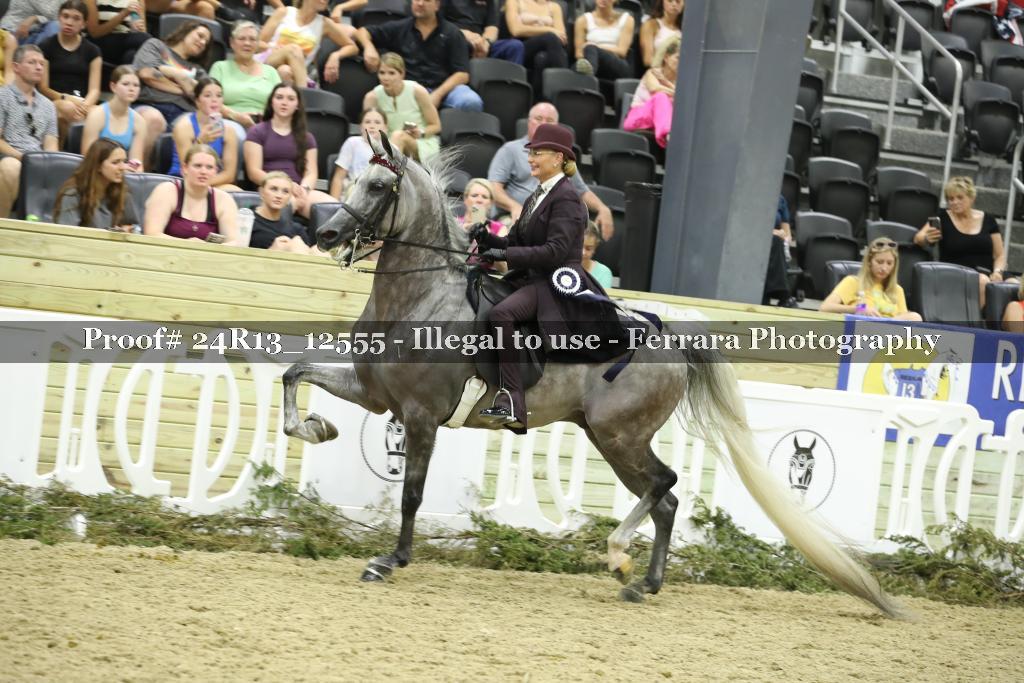 Proof 24R13_12555