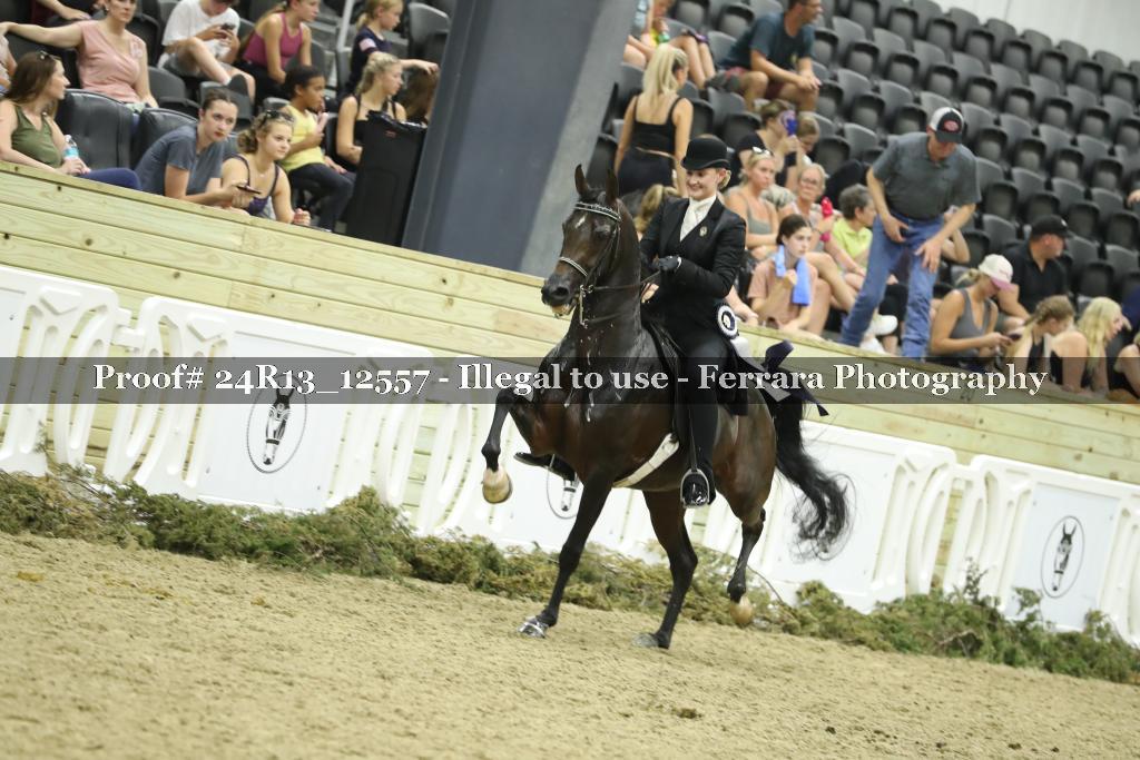 Proof 24R13_12557
