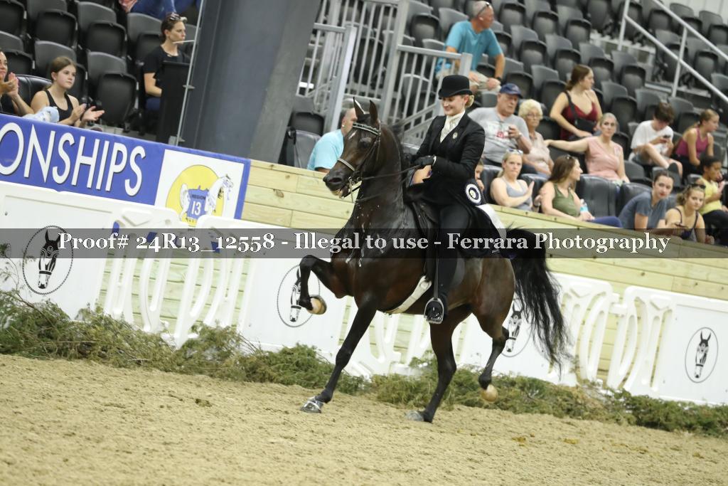 Proof 24R13_12558