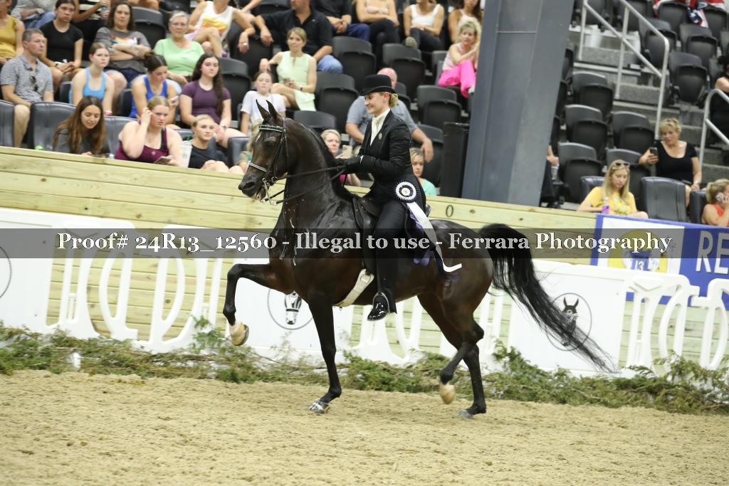 Proof 24R13_12560
