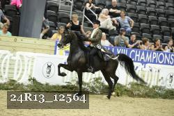 24R13_12564 proof