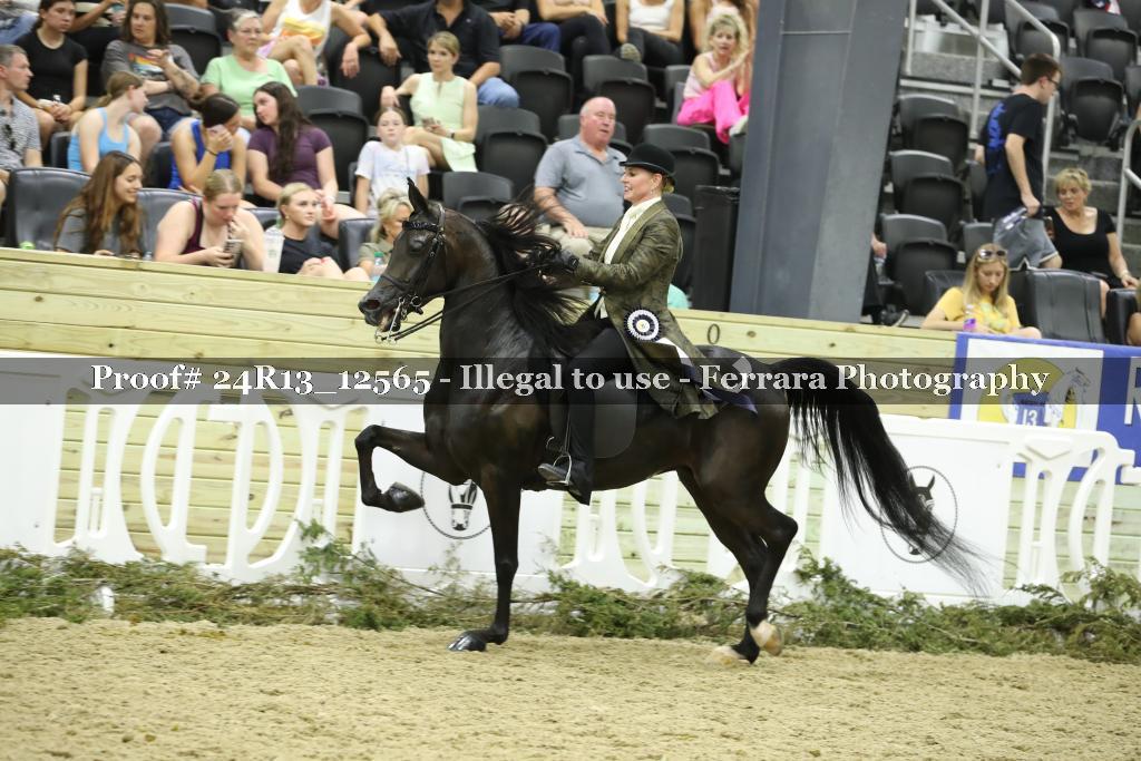Proof 24R13_12565