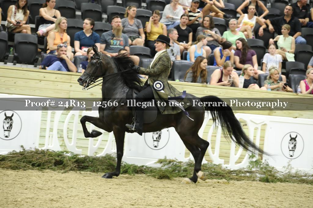 Proof 24R13_12566