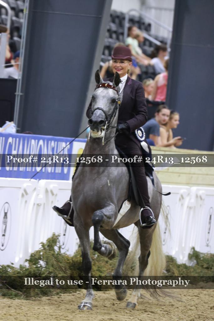 Proof 24R13_12568