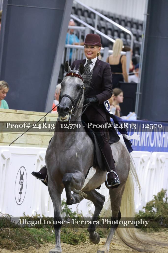Proof 24R13_12570