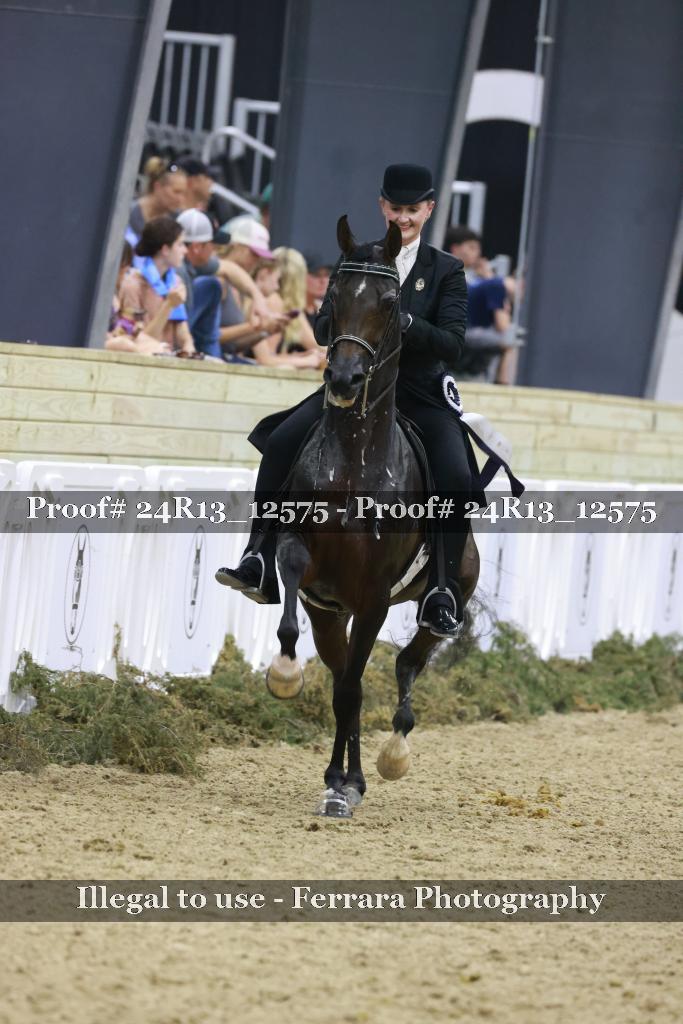 Proof 24R13_12575