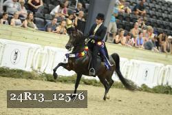 24R13_12576 proof