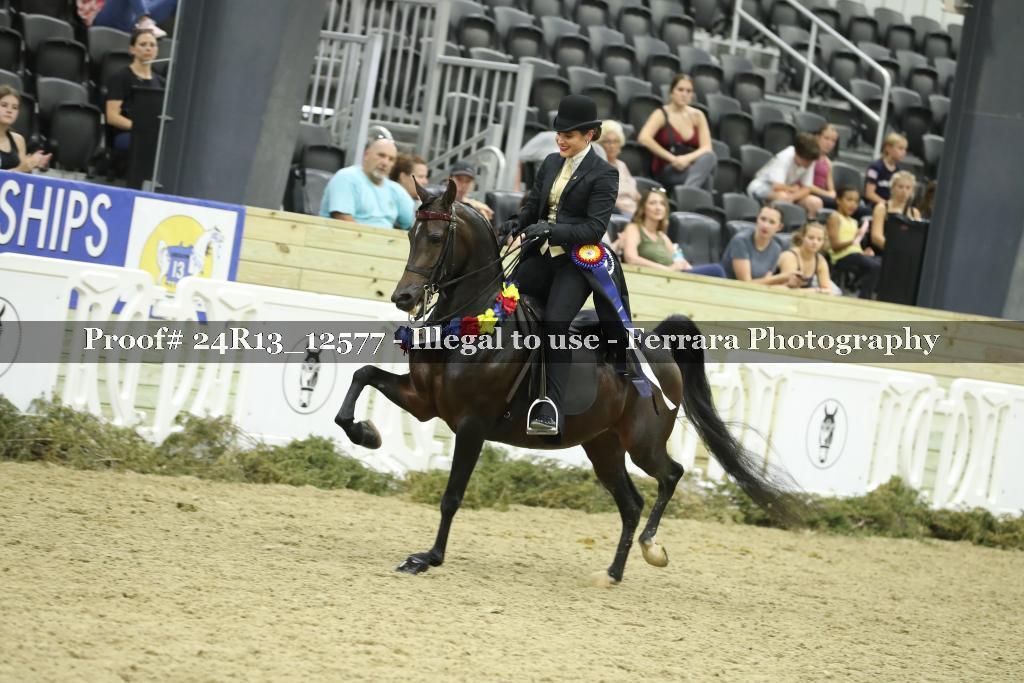 Proof 24R13_12577