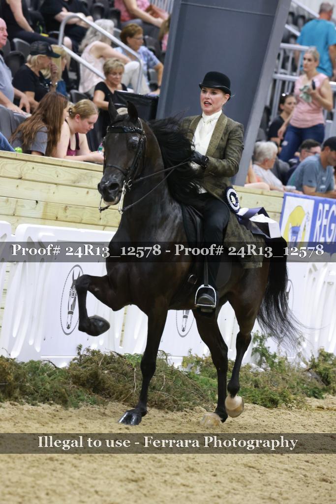 Proof 24R13_12578