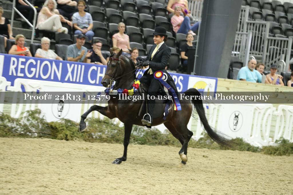 Proof 24R13_12579