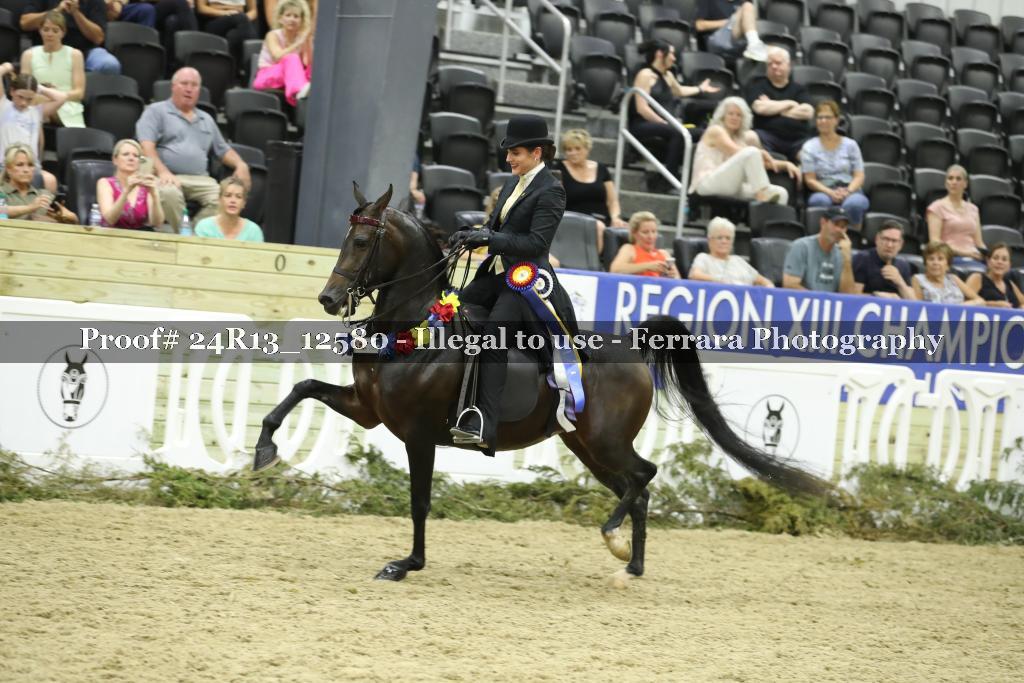 Proof 24R13_12580