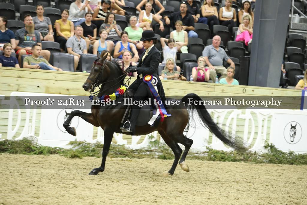 Proof 24R13_12581