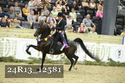24R13_12581 proof