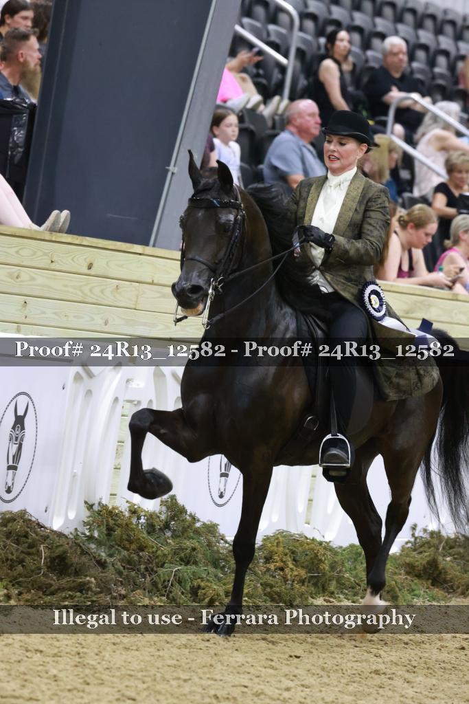 Proof 24R13_12582