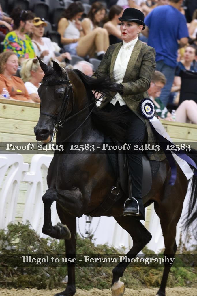Proof 24R13_12583