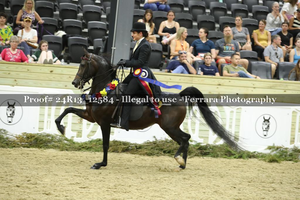 Proof 24R13_12584