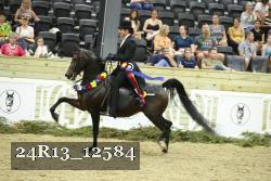 24R13_12584 proof