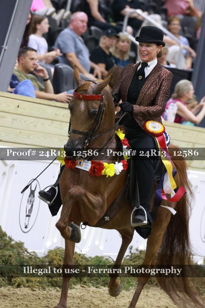 Proof 24R13_12586