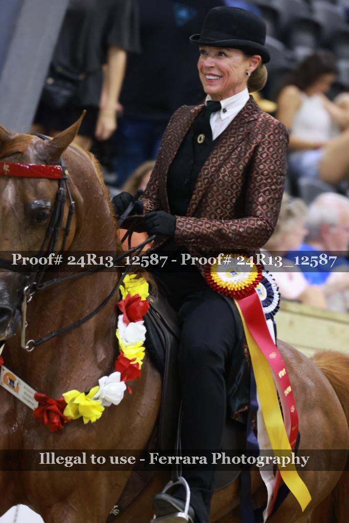 Proof 24R13_12587