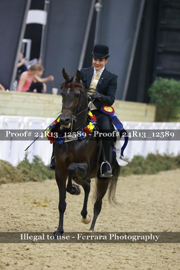 Proof 24R13_12589