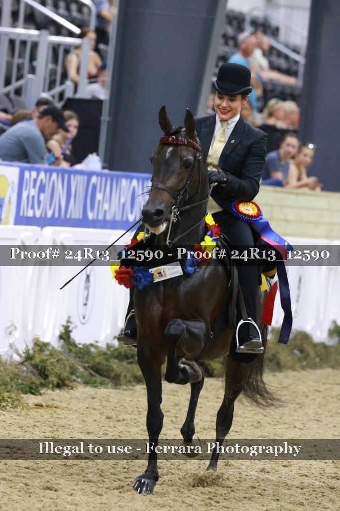 Proof 24R13_12590