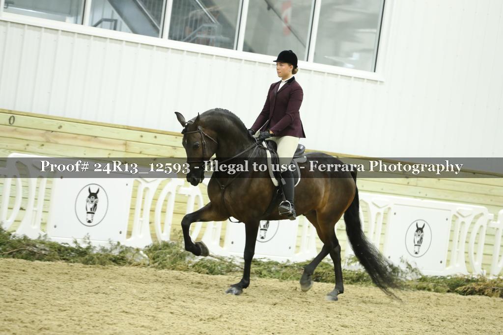 Proof 24R13_12593