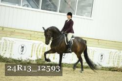 24R13_12593 proof