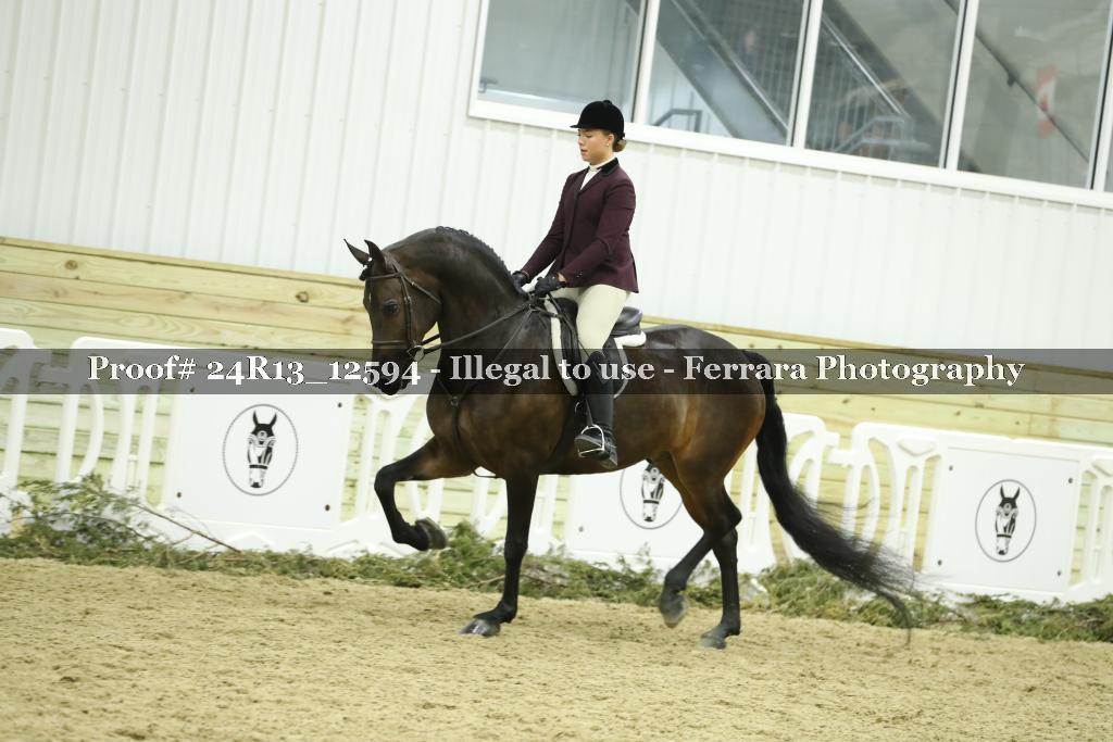 Proof 24R13_12594
