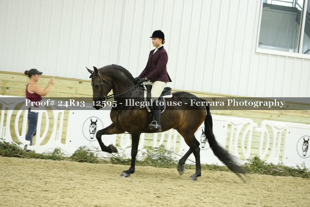 Proof 24R13_12595